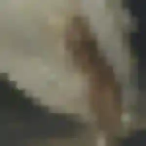 Photo privée de Naomie, 31 ans à Boiscommun - rencontre coquine