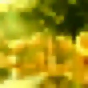 Profil de Priscilla à Boisseron (37 ans) - plan cul gratuit