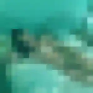 Photo de Ablavi à Boivre-la-Vallée (32 ans) - plan cul anonyme