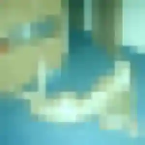 Maéva, 41 ans, en ligne à Bologne pour une rencontre coquine