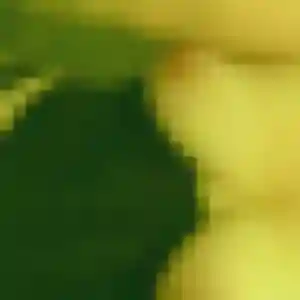 Contacte Soraya, 27 ans à Bonne en privé