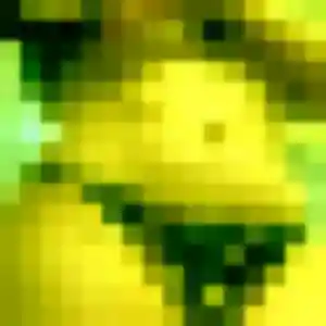 Marguerite, 43 ans, disponible à Bonnut pour une rencontre coquine