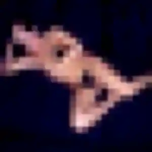 Fama, fille de 38 ans cherche plan cul à Bouafles