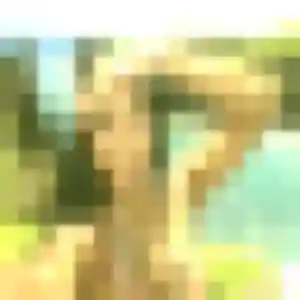 Photo exclusive de Ketty, 43 ans à Bouillargues - rencontre coquine