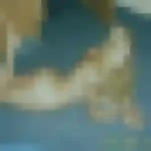 Photo exclusive de Omolara, 34 ans à Bouquetot - rencontre sans lendemain
