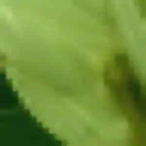 Ketty, 36 ans, en ligne à Bourg-Fidèle pour une rencontre coquine