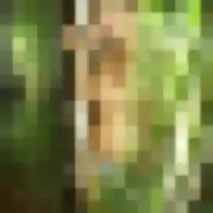 Photo de Penda à Bourgoin-Jallieu (22 ans) - plan cul anonyme