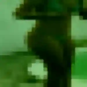Rencontre Ngoné, 31 ans à Bozouls en t'inscrivant