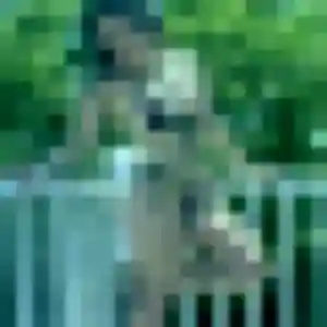 Quetsia, fille de 42 ans veut plan cul à Brécé