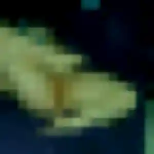 Jolie Gisèle, 44 ans à Bresson - voir sa photo