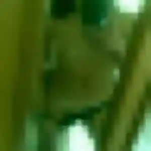 Tanoh (45 ans) à Breuil-le-Vert cherche un plan cul maintenant