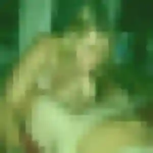 Sira, fille de 31 ans cherche plan cul à Bricquebec-en-Cotentin