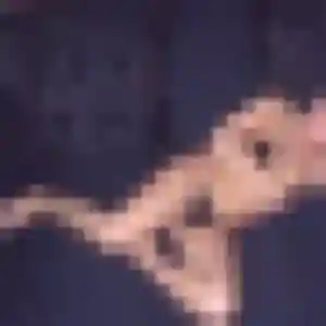 Yawa, 45 ans, en ligne à Bron pour une rencontre coquine