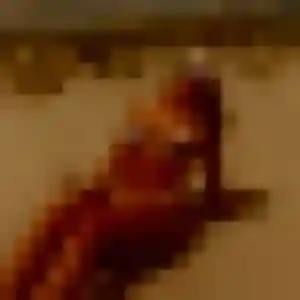 Sexy Thaïs, 42 ans à Bruyères-sur-Oise - voir sa photo
