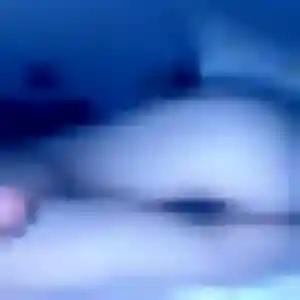 Photo de Omolara à Buhl-Lorraine (40 ans) - plan cul gratuit
