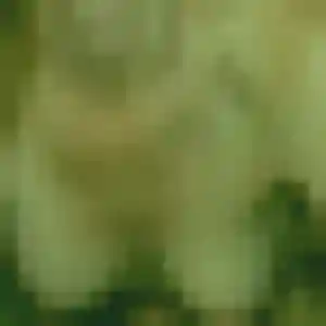 Photo privée de Brigitte, 22 ans à Busnes - rencontre coquine