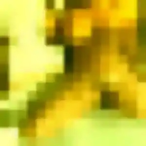 Ablavi (26 ans) à Byans-sur-Doubs attend une rencontre ce soir