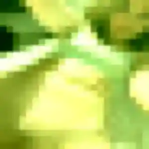 Titilayo (31 ans) à Cahagnes propose une rencontre rapidement