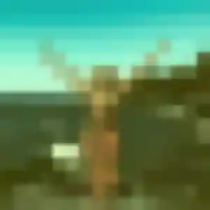 Profil de Farida à Cailloux-sur-Fontaines (38 ans) - plan cul anonyme