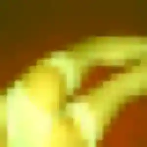 Rencontre Dorothée, 34 ans à Canly en privé