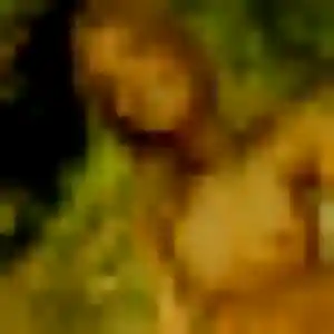 Arame, 41 ans, dispo pour plan cul à Carcen-Ponson