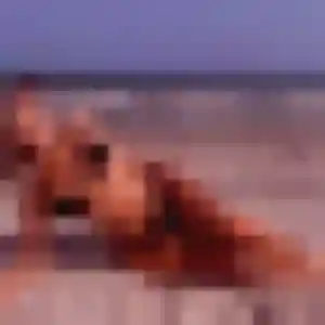 Upendo, 24 ans, en ligne à Cardet pour une rencontre coquine