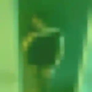 Belle Séraphine, 28 ans à Carhaix-Plouguer - la contacter