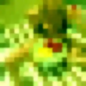 Profil de Ebele à Carnac (36 ans) - plan cul gratuit