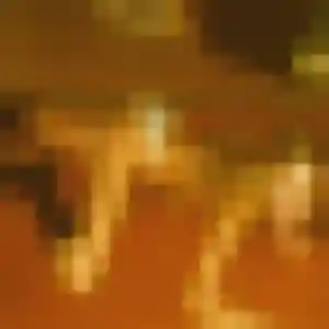 Neneh de Carnières, 29 ans - plan cul en toute liberté