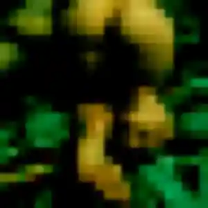 Hawa de Carpentras, 29 ans - plan cul en toute liberté