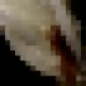 Amani, 23 ans, en ligne à Cases-de-Pène pour un plan cul