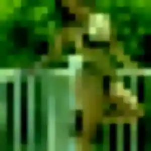 Jolie Nabou, 24 ans à Cases-de-Pène - voir sa photo