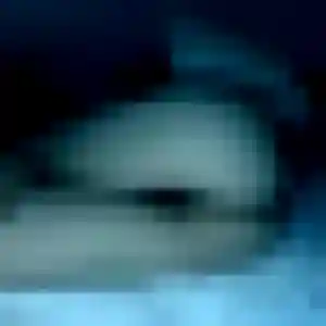 Jolie Carine, 43 ans à Cassagne - la contacter