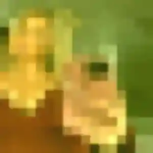 Rencontre Joséphine, 32 ans à Cast en t'inscrivant