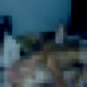 Photo privée de Ophélie, 41 ans à Castelnau-de-Guers - rencontre coquine