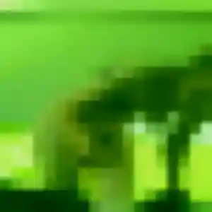 Rencontre Amani, 44 ans à Castelnau-de-Montmiral en privé