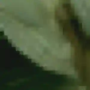 Sandrine, femme de 44 ans cherche plan cul à Castelnau-le-Lez