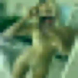 Contacte Chancelle, 26 ans à Castets en privé