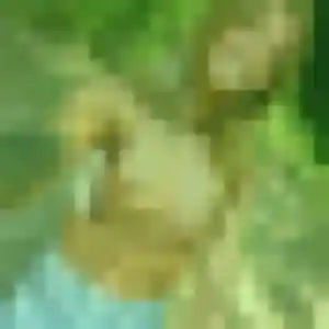 Photo de Djamilatou à Caveirac (24 ans) - plan cul anonyme