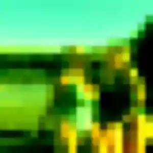 Rejoins Sira, 41 ans à Cerbère en t'inscrivant