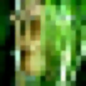 plan cul à Cerisiers : profil de Sylvie, 35 ans - inscription gratuite