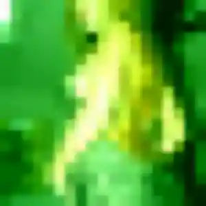 Profil de Dieynaba à Cérons (28 ans) - plan cul anonyme