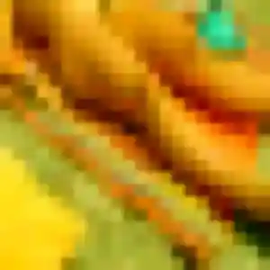 Diary, 45 ans, en ligne à Chabrac pour une rencontre coquine