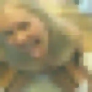 Photo de Saly à Challuy (32 ans) - plan cul gratuit