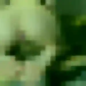Adwoa, 26 ans, dispo pour plan cul à Châlonvillars