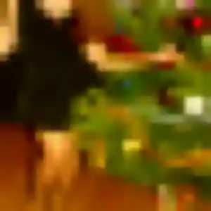 Jolie Takha, 25 ans à Châlonvillars - découvrir son profil