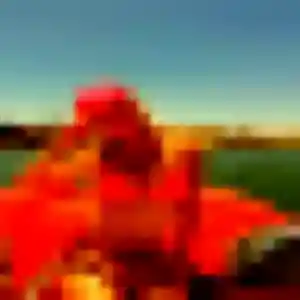 Photo perso de Funke, 26 ans à Chamarande - rencontre coquine