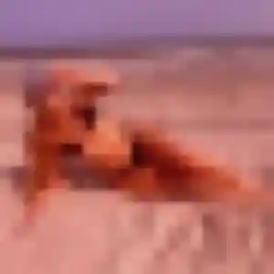Coumba, fille de 38 ans cherche plan cul à Champagne-en-Valromey