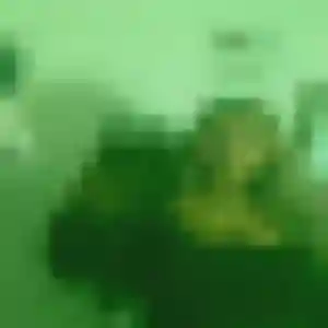 Photo de Zara à Champdor-Corcelles (38 ans) - plan cul sans inscription