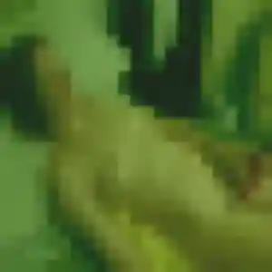 Profil de Wanjiku à Champdôtre (29 ans) - plan cul discret